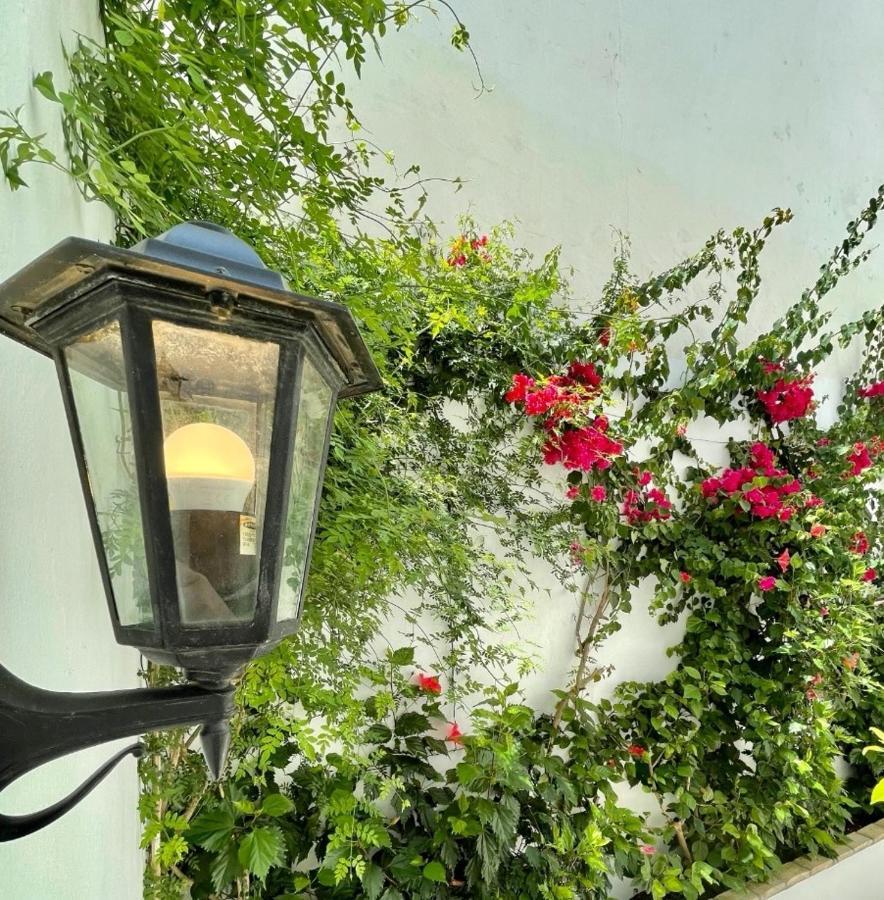 Gatu Premium Apartamento Palacio Oneto Con Jardin Privado " Preferente Mayores De 25 Anos Y Familias " เอลปูแอร์โต เด ซานตามาริอา ภายนอก รูปภาพ